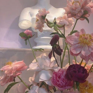 Meet your Posher, Susan